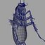 photorealistic cockroach 3d model