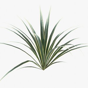 ribbonGrass 3D model