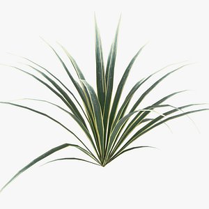 ribbonGrass