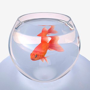 fish bowl