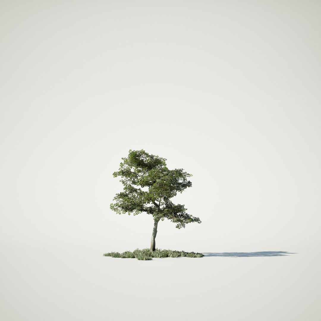 3D Game Ready Tree Set And Grass Model - TurboSquid 2149283