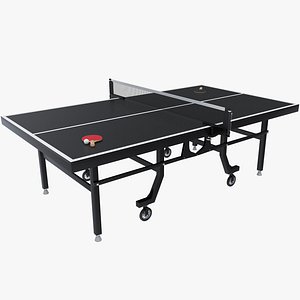 Table Tennis Equipment 3D model