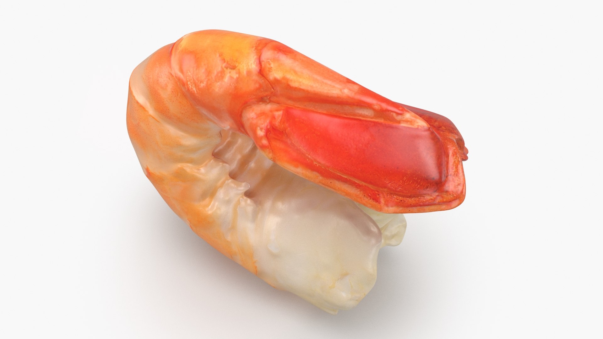 Shrimp Peeled model https://p.turbosquid.com/ts-thumb/TS/PdeRQv/2z/shrimppeeled_b0018/jpg/1687695548/1920x1080/fit_q87/fbc3f80db98645868e9b23989b0681239cec07bb/shrimppeeled_b0018.jpg