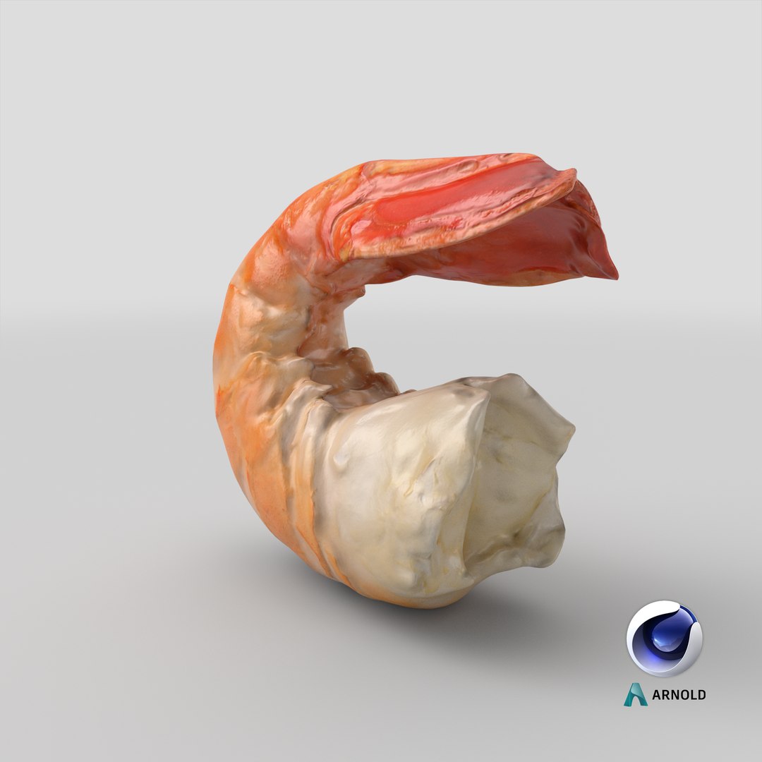 Shrimp Peeled model https://p.turbosquid.com/ts-thumb/TS/PdeRQv/BR/stemcell_cinema_4d_arnold_render/png/1691647648/1920x1080/fit_q87/d48626a00bbfceb92b2868242f29a84890751e49/stemcell_cinema_4d_arnold_render.jpg