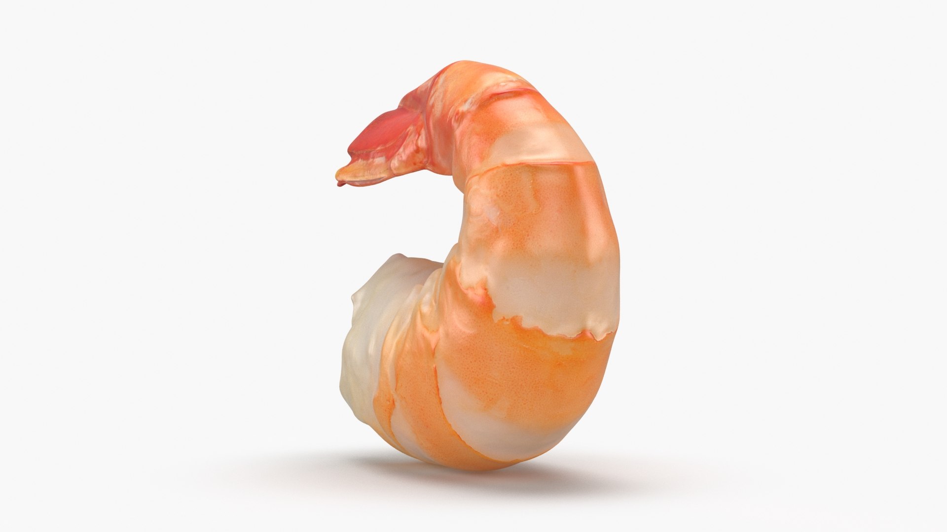 Shrimp Peeled model https://p.turbosquid.com/ts-thumb/TS/PdeRQv/CI/shrimppeeled_b0010/jpg/1687695543/1920x1080/fit_q87/21df87a444a4331d8c13b5a88db999b1ef1712de/shrimppeeled_b0010.jpg