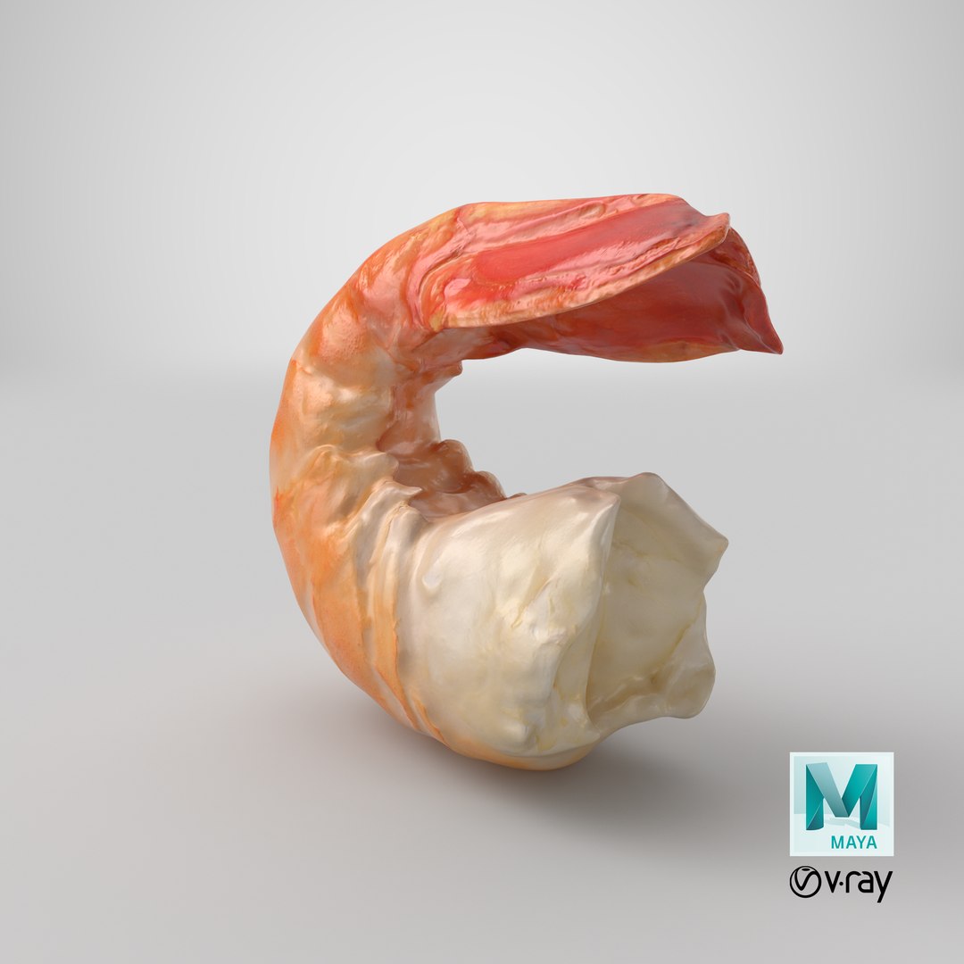 Shrimp Peeled model https://p.turbosquid.com/ts-thumb/TS/PdeRQv/hS/stemcell_maya_vray_render/png/1691647637/1920x1080/fit_q87/f96277b2ea4bc14f8af930b4cf3b55b7ed398911/stemcell_maya_vray_render.jpg