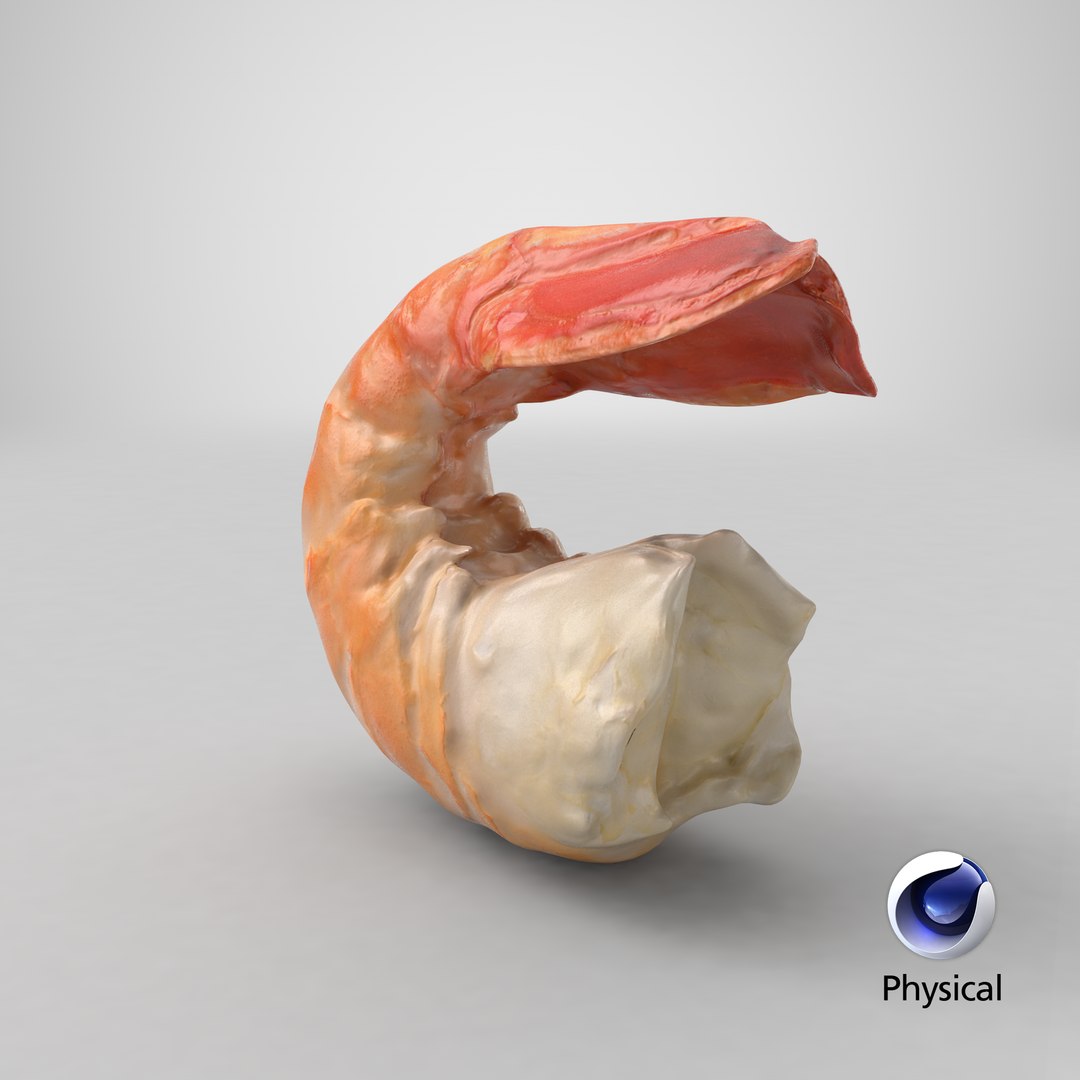 Shrimp Peeled model https://p.turbosquid.com/ts-thumb/TS/PdeRQv/iJ/stemcell_cinema_4d_physical_render/png/1691647650/1920x1080/fit_q87/54e6b993c2988e9b0b7f8736073d4026b4603f0c/stemcell_cinema_4d_physical_render.jpg