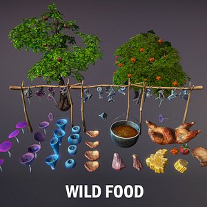 wild food 3D model