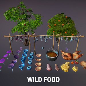 Wild food
