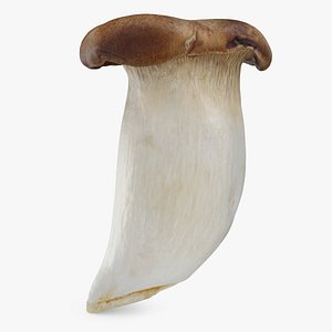 King Trumpet 01