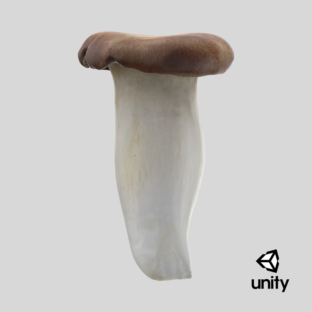 King Trumpet 01 model https://p.turbosquid.com/ts-thumb/TS/YnVXQZ/QT/stemcell_unity_render/png/1727222837/1920x1080/fit_q87/b855b40804b108a95e17fd2d5d855d7e596398b3/stemcell_unity_render.jpg