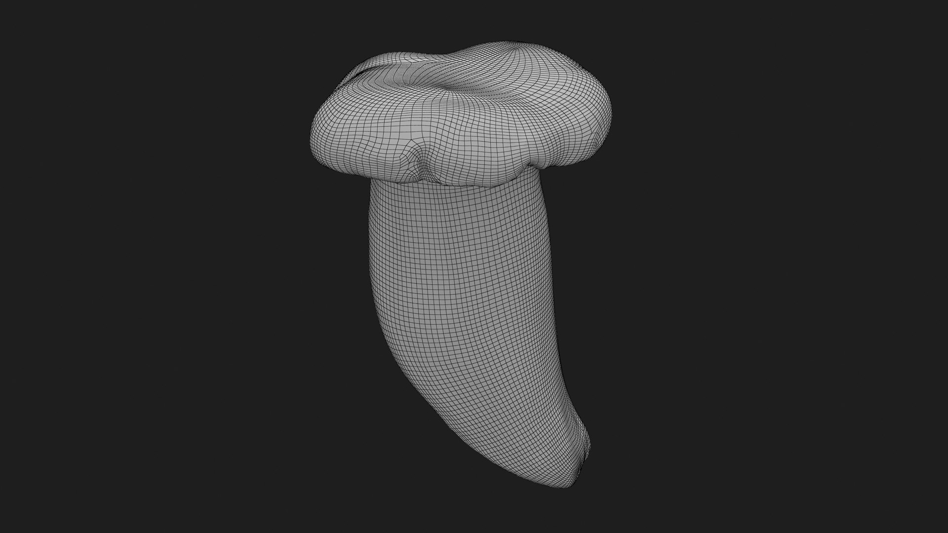 King Trumpet 01 model https://p.turbosquid.com/ts-thumb/TS/YnVXQZ/Yu/kgtrumpet01_g0003/jpg/1725710267/1920x1080/fit_q87/3d8f231fd31766df318a3ccaf789de0dc888b605/kgtrumpet01_g0003.jpg