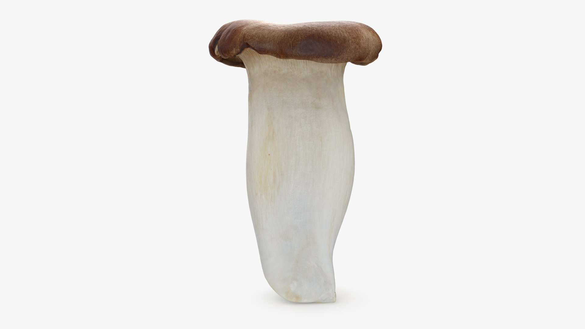 King Trumpet 01 model https://p.turbosquid.com/ts-thumb/TS/YnVXQZ/aR/kgtrumpet01_b0006/jpg/1725710258/1920x1080/fit_q87/95b02b92e97305dfe57cb97148811c3321c85fbb/kgtrumpet01_b0006.jpg
