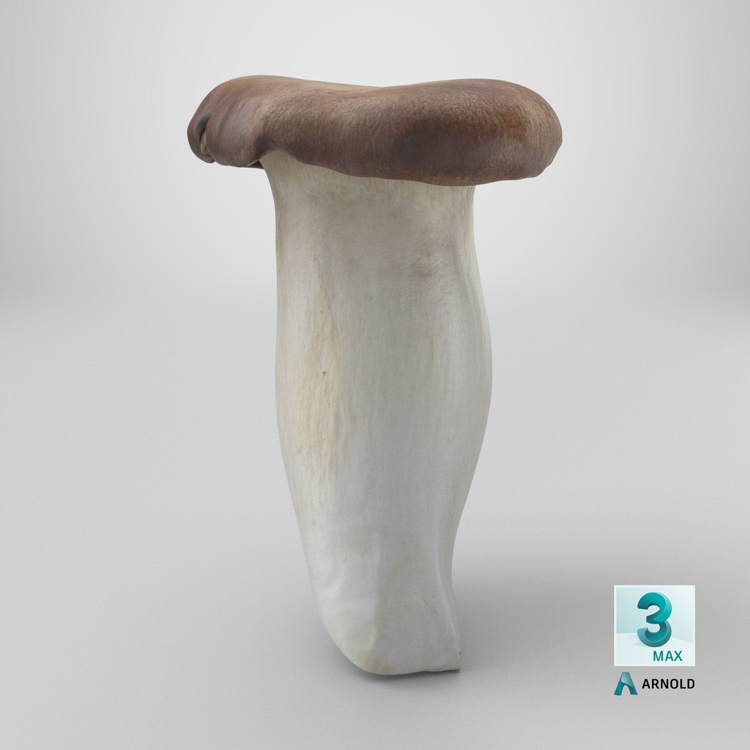 King Trumpet 01 model https://p.turbosquid.com/ts-thumb/TS/YnVXQZ/cm/stemcell_max_arnold_render/png/1727222833/1920x1080/fit_q87/67578123442ecf735f01fe3744bae07456ddd49d/stemcell_max_arnold_render.jpg