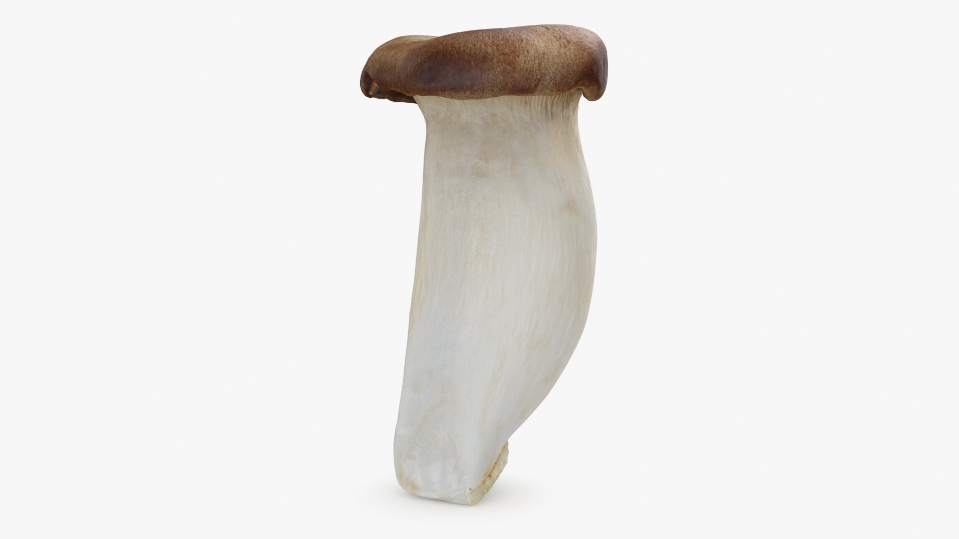 King Trumpet 01 model https://p.turbosquid.com/ts-thumb/TS/YnVXQZ/nR/kgtrumpet01_b0016/jpg/1725710262/1920x1080/fit_q87/c68c3c75504afecf833ff5f4f751eb0c639db153/kgtrumpet01_b0016.jpg