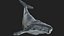 Ballena jorobada montada en 3D