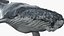 Ballena jorobada montada en 3D