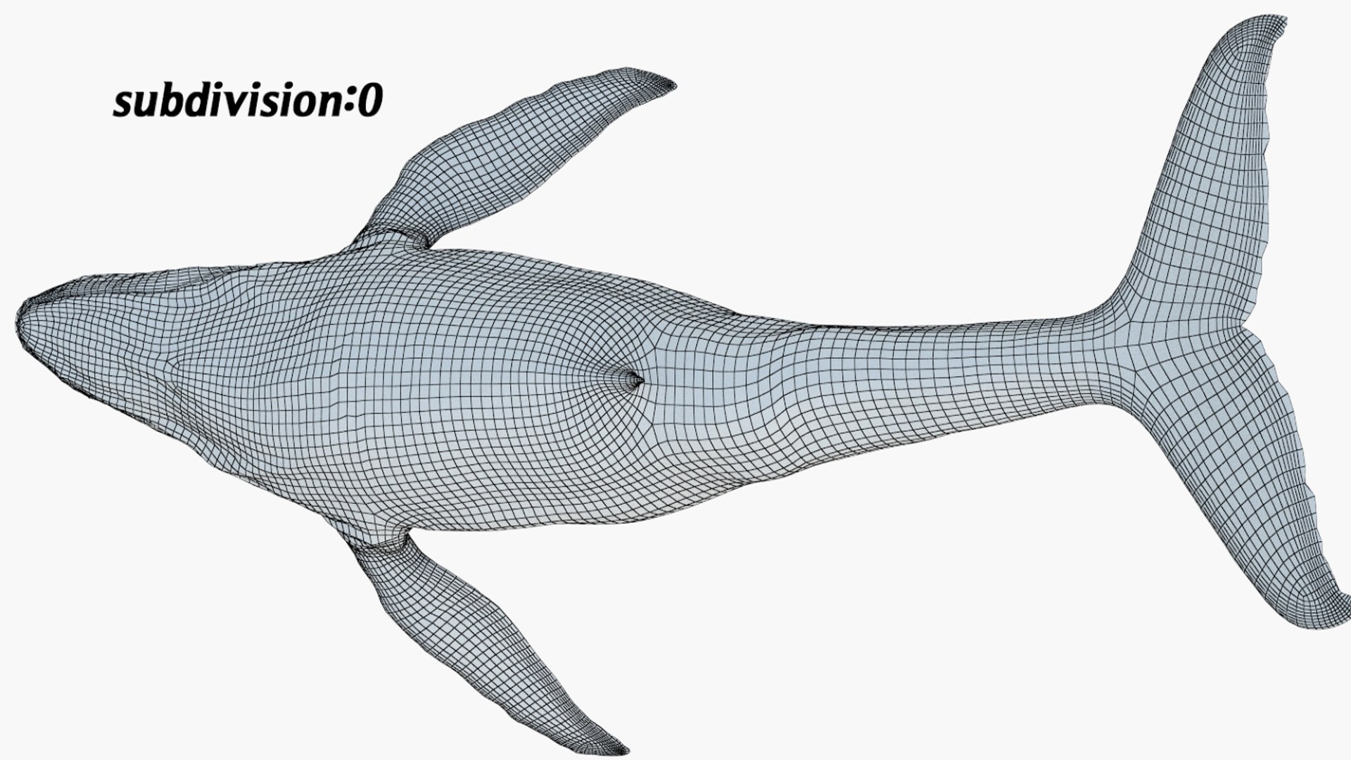 Humpback WhaleRigged 3D 3D https://p.turbosquid.com/ts-thumb/TS/cD9tMQ/II/14/jpg/1750644110/1920x1080/fit_q87/895b19aadd44914d7eed2074eb3df6c3c3678a10/14.jpg