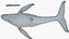 Ballena jorobada montada en 3D