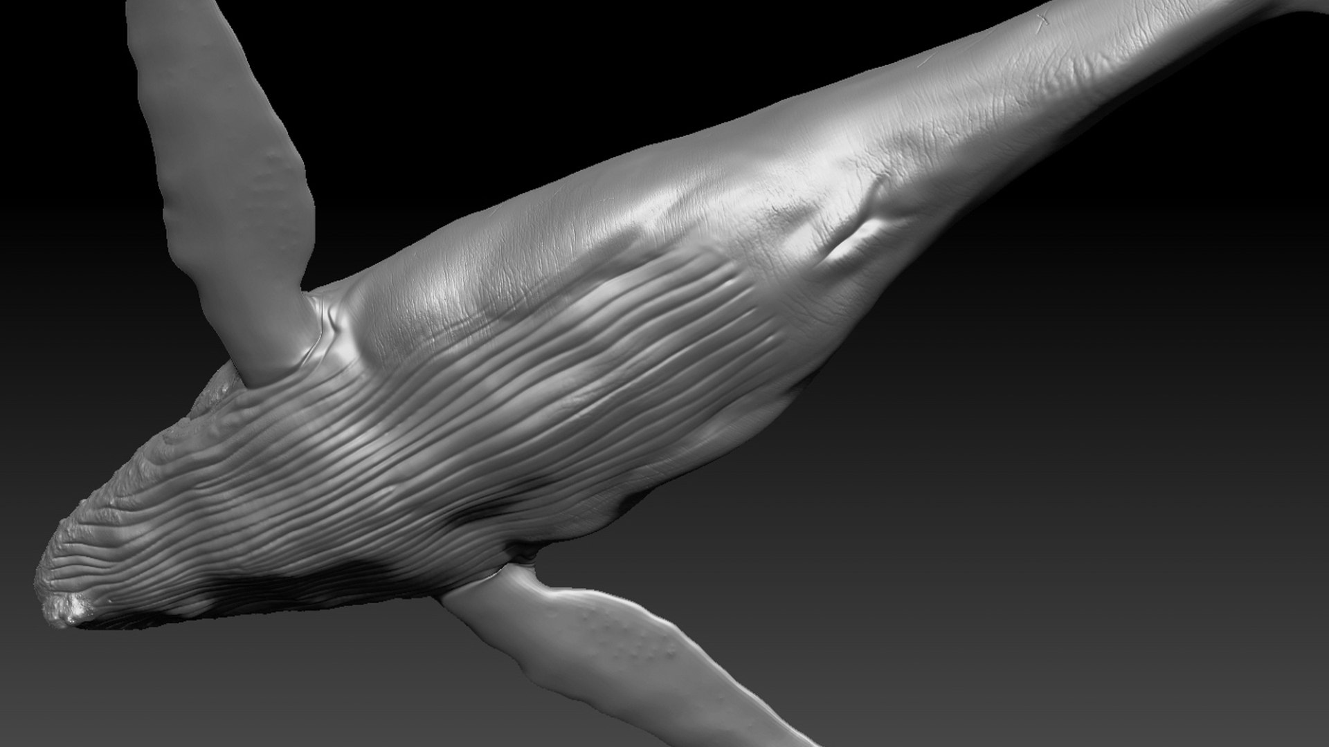 Humpback WhaleRigged 3D 3D https://p.turbosquid.com/ts-thumb/TS/cD9tMQ/Wv/10/jpg/1750644108/1920x1080/fit_q87/dc9136724c8639d9736b4f90c25bd7cc12799661/10.jpg