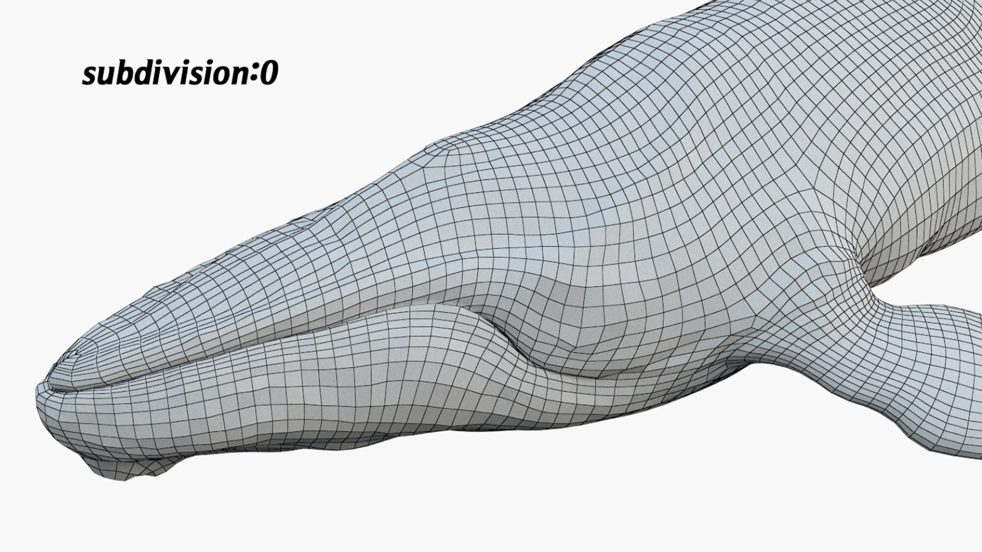 Humpback WhaleRigged 3D 3D https://p.turbosquid.com/ts-thumb/TS/cD9tMQ/sq/15/jpg/1750644111/1920x1080/fit_q87/c76da8bf1f467c7f710066ba0dd6c7ea57b25943/15.jpg