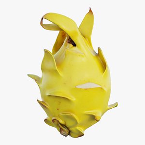 dragon fruit 14 3D model