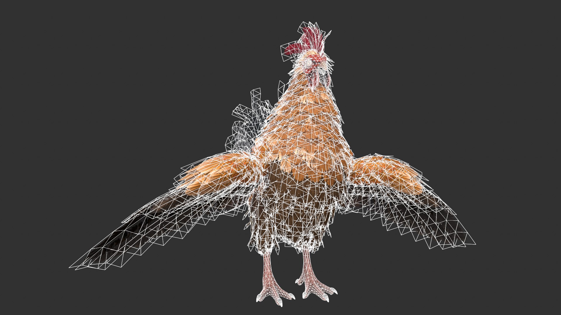 3D Chicken Rooster - TurboSquid 1981907