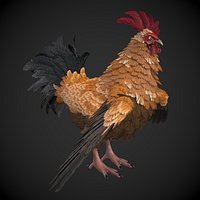 Chicken Rooster