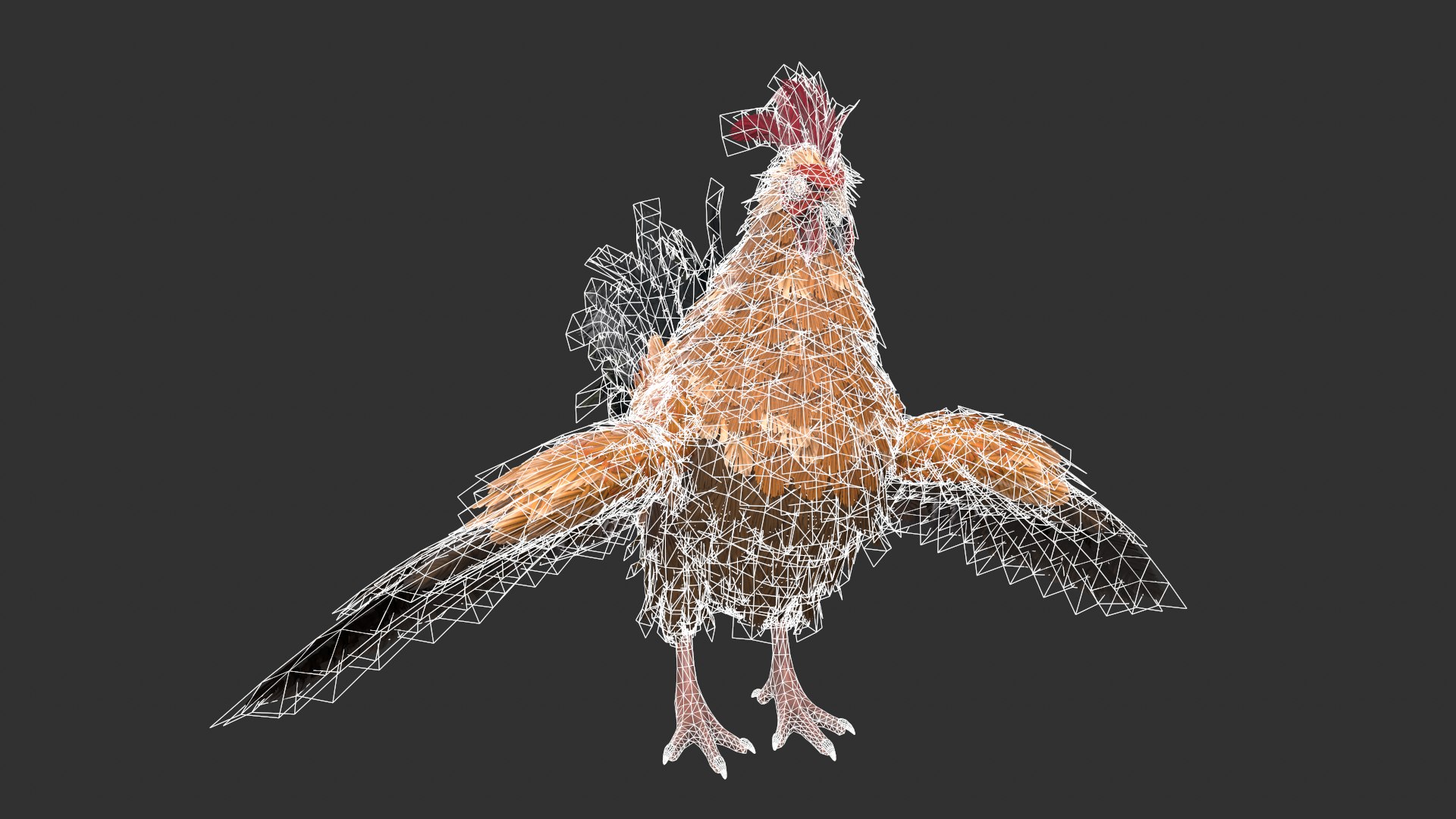 3D Chicken Rooster - TurboSquid 1981907