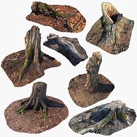 Realistic Forest Tree Stump Collection
