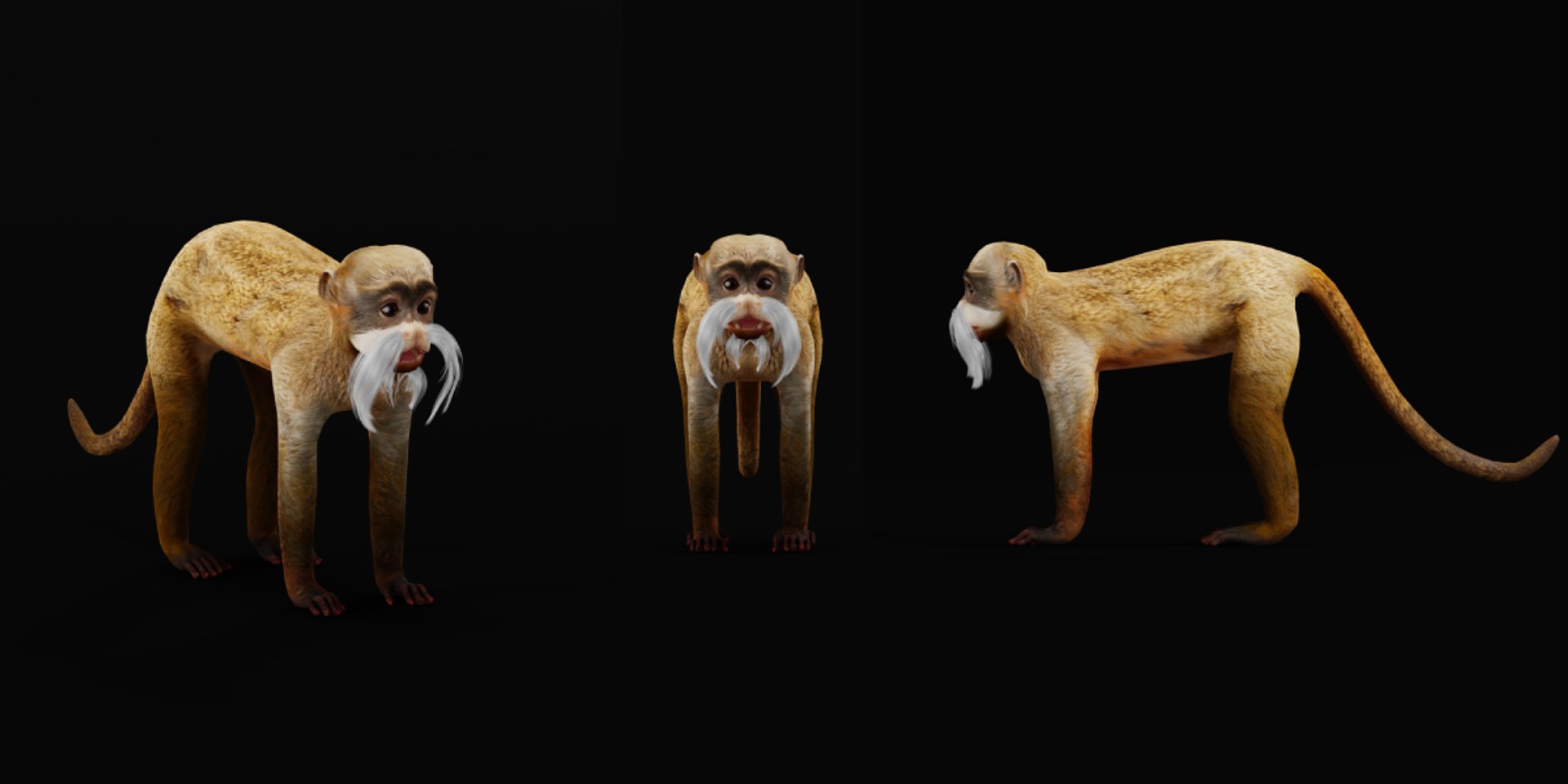 3D Emperor Tamarin Monkey model https://p.turbosquid.com/ts-thumb/TS/vO4AMx/5c/emperor_tamarin_monkeys4/png/1742509197/1920x1080/fit_q87/a2a9f1a74a98caf3f55633a27b58282dd6d03cd9/emperor_tamarin_monkeys4.jpg