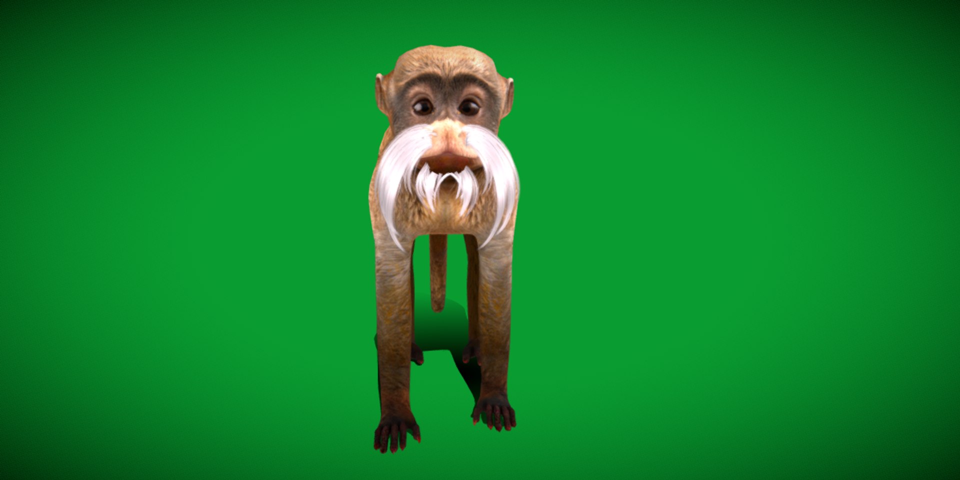 3D Emperor Tamarin Monkey model https://p.turbosquid.com/ts-thumb/TS/vO4AMx/IN/emperor_tamarin_monkeys/png/1742509218/1920x1080/fit_q87/8c97c8bf8be789ffbfe11c836edc7f1c4d53db44/emperor_tamarin_monkeys.jpg