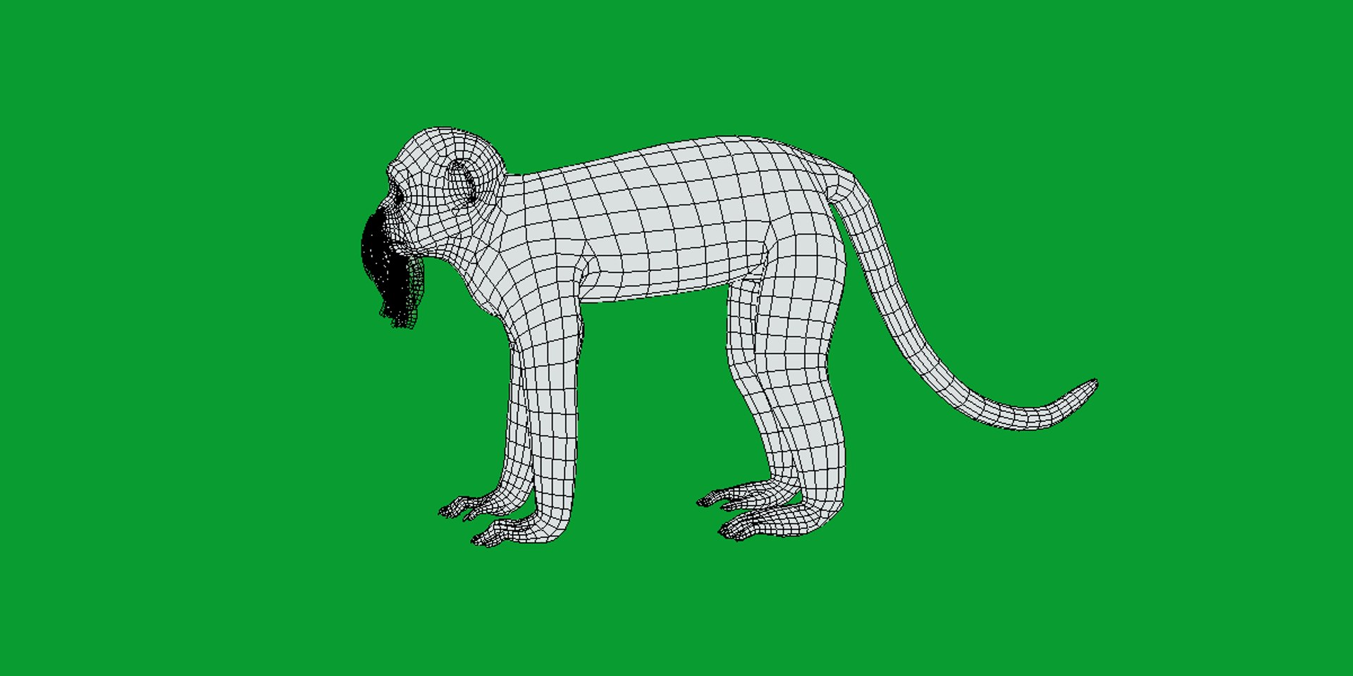 3D Emperor Tamarin Monkey model https://p.turbosquid.com/ts-thumb/TS/vO4AMx/Kq/emperor_tamarin_monkeys27/png/1742509211/1920x1080/fit_q87/5e4d33a2fd776d2a75212f3c5204f88f4f7425a9/emperor_tamarin_monkeys27.jpg