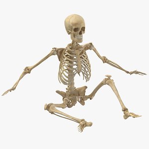 Real Human Female Skeleton Pose 69 3D model