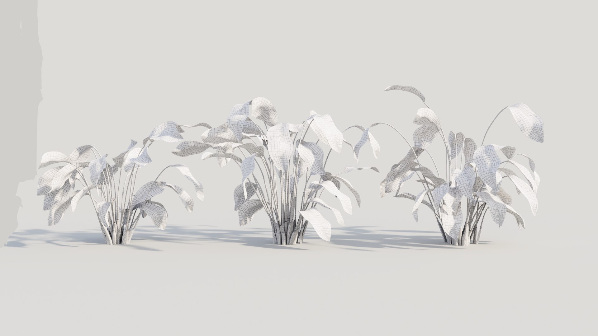 3D Calathea zebrina b https://p.turbosquid.com/ts-thumb/TS/wCnk43/jm/calatheazebrinab2/jpg/1705561585/1920x1080/fit_q87/d93ae97680037344ec46b54cec3feddfde7df5e5/calatheazebrinab2.jpg