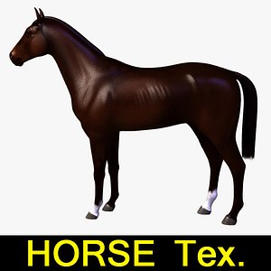 3d 3ds horse mammal