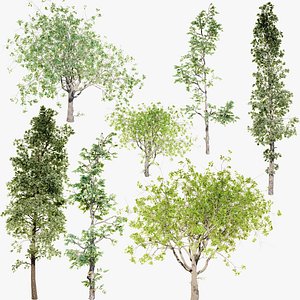 Trees Pack Animated