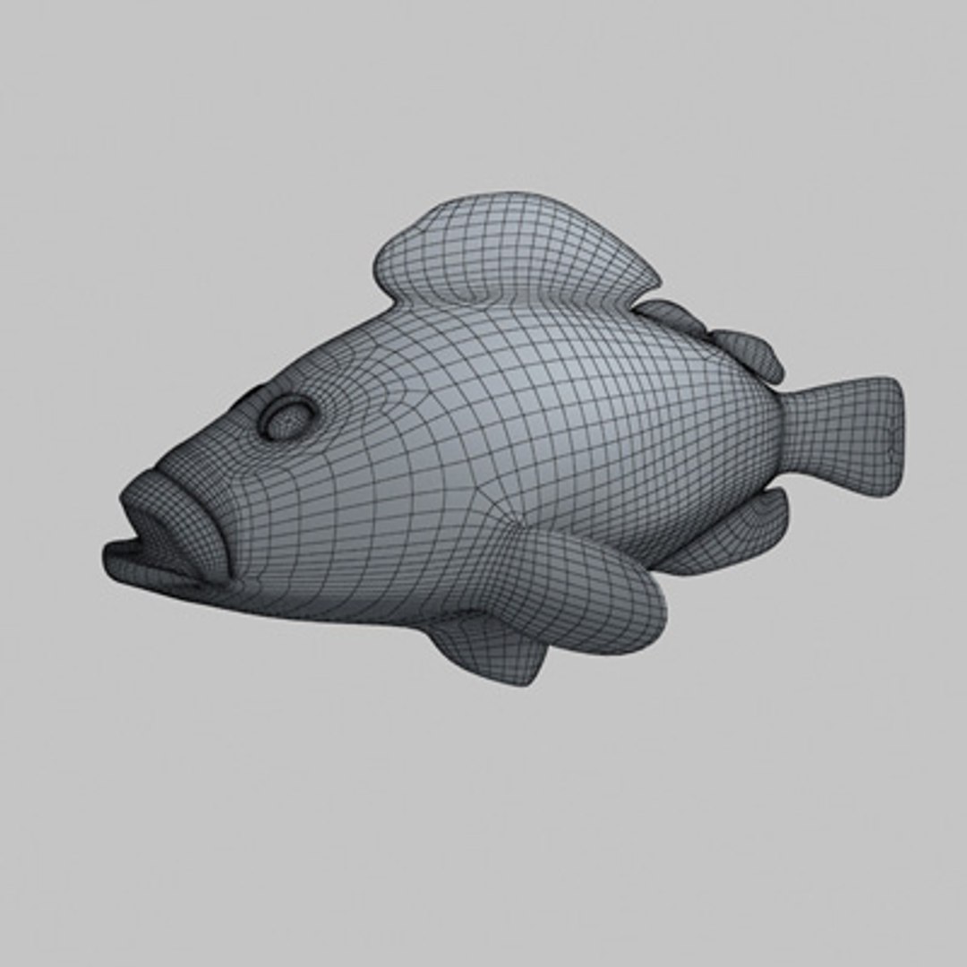 Dusky Grouper Fish 3d Model