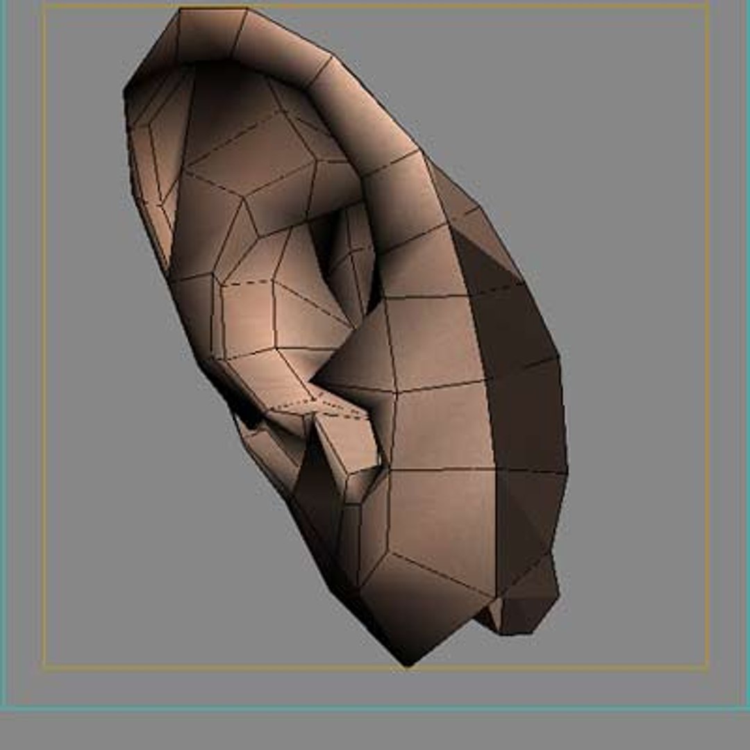 Ear Realistic Max