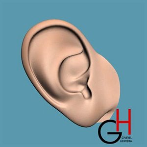ear realistic max