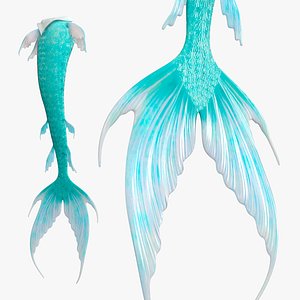 Mermaid Tail