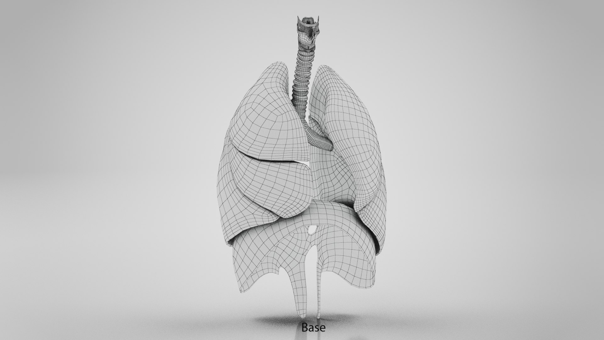 Human internal organs 3D model https://p.turbosquid.com/ts-thumb/TU/CmiZXf/Ql/ww00001copy/jpg/1657751252/1920x1080/fit_q87/e40999d3f58c163daf07ccd4fff0602c0269687c/ww00001copy.jpg