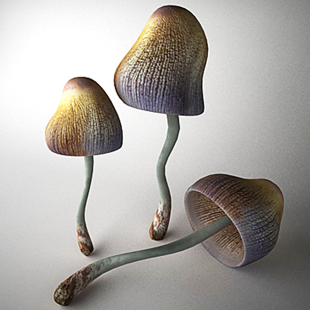 3ds max mica mushroom https://p.turbosquid.com/ts-thumb/TU/FW2Ogf/Ug8dw61O/micac01/jpg/1259066829/1920x1080/fit_q87/217f41f3c67cbb132663915cbcf011edff411353/micac01.jpg