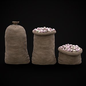 3D model Burlap Sacks of Garlic