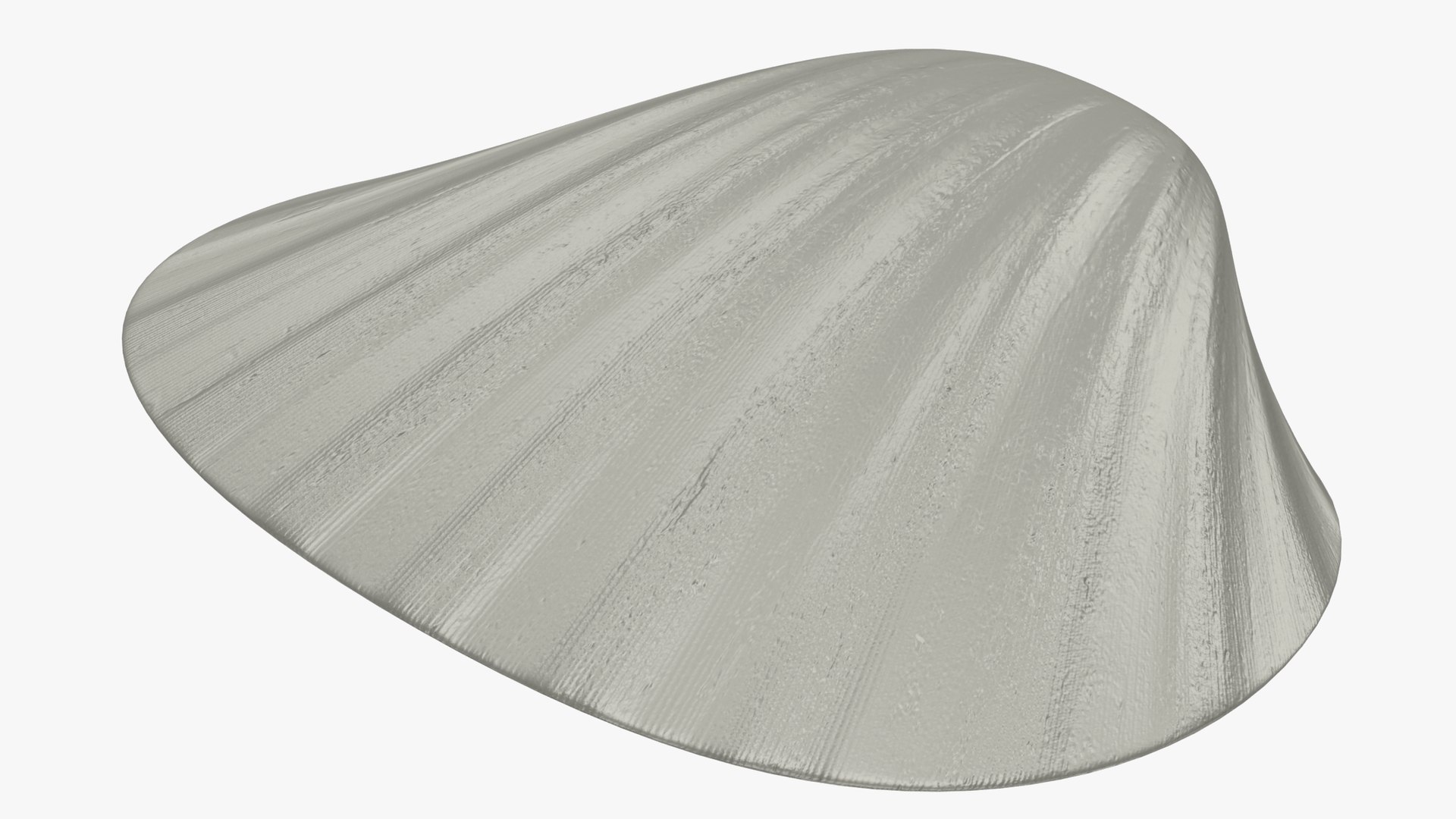 3D Seashell Sea Shell Model - TurboSquid 1624205