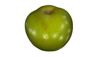 3D green tomato model