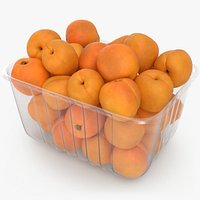 Fresh Apricots in Plastic Container