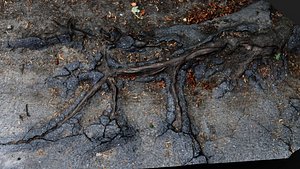 3D asphalt cracked ground tree roots PBR photogrammetry model