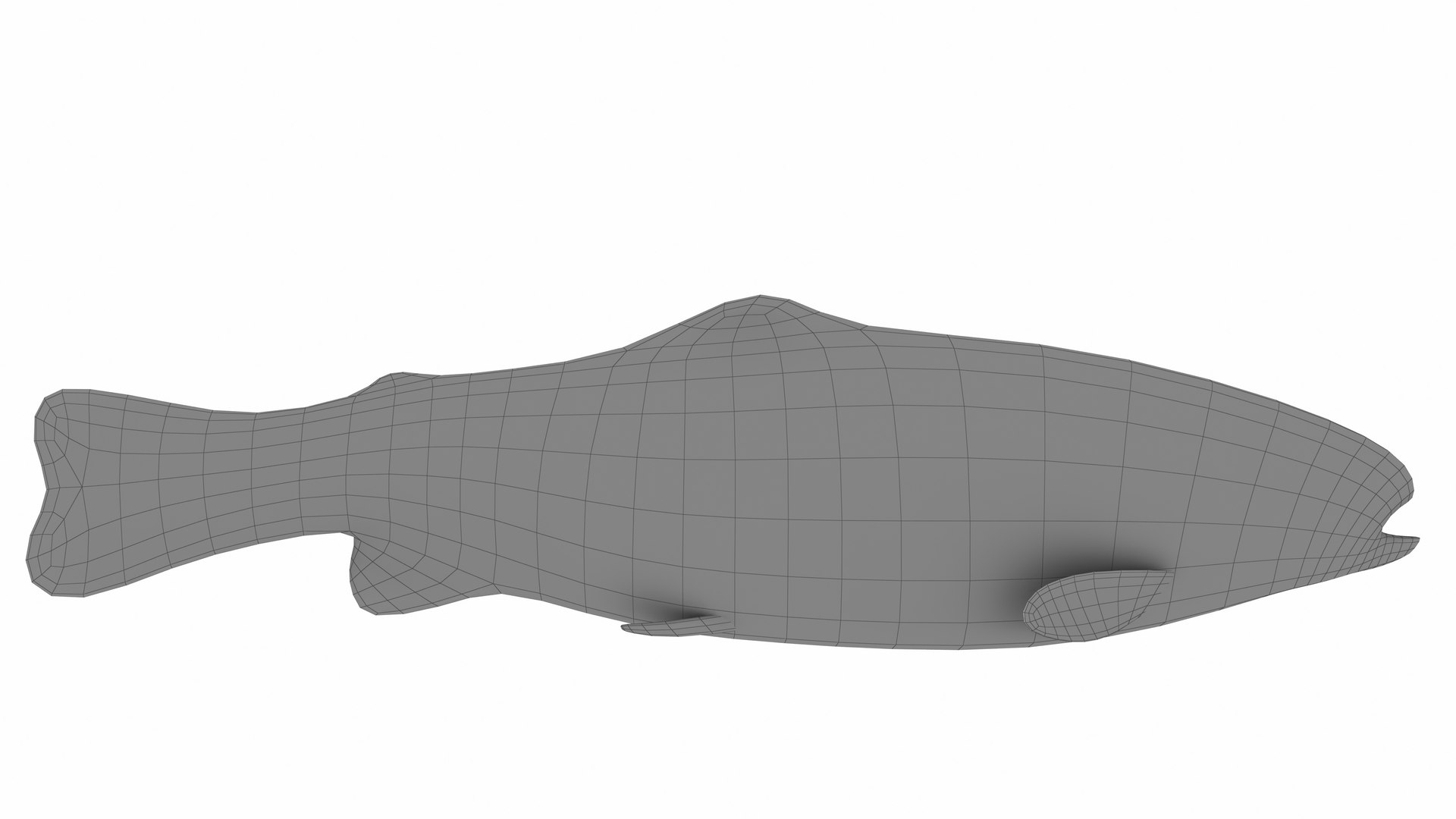 3D Model Trout Fish - TurboSquid 2379198
