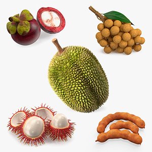 Thailand Fruits Collection 2 3D model